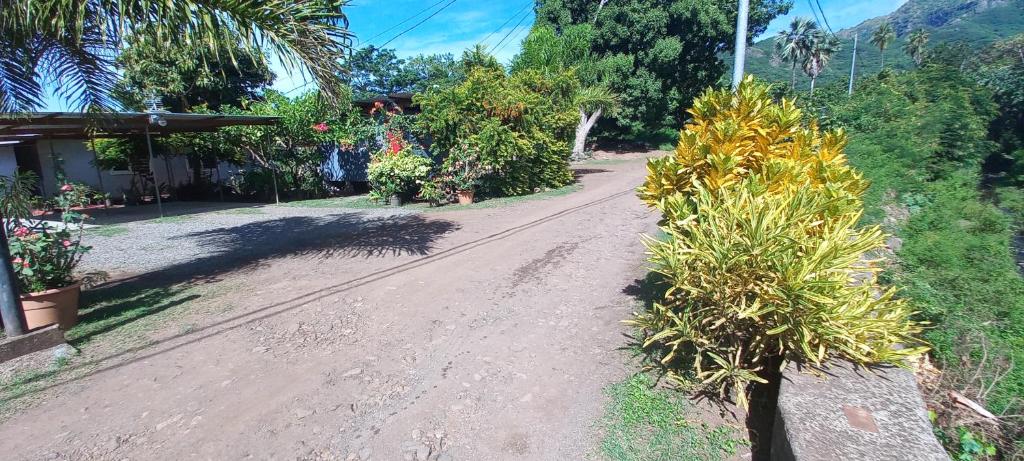 PENSION TOKA EVA, Nuku Hiva - photo 9 - Nuku Hiva, Polynésie
