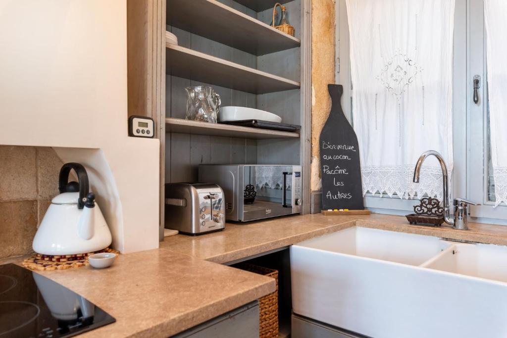 a kitchen with a sink and a counter top at Le Cocon Pacôme Les Autres in Lyon
