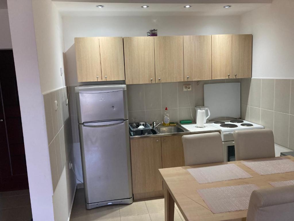 Kuchyň nebo kuchyňský kout v ubytování Apartman Jana Apatin