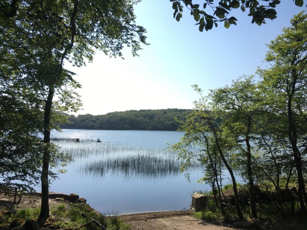 uma vista para um lago através das árvores em The Plain View em Boyle