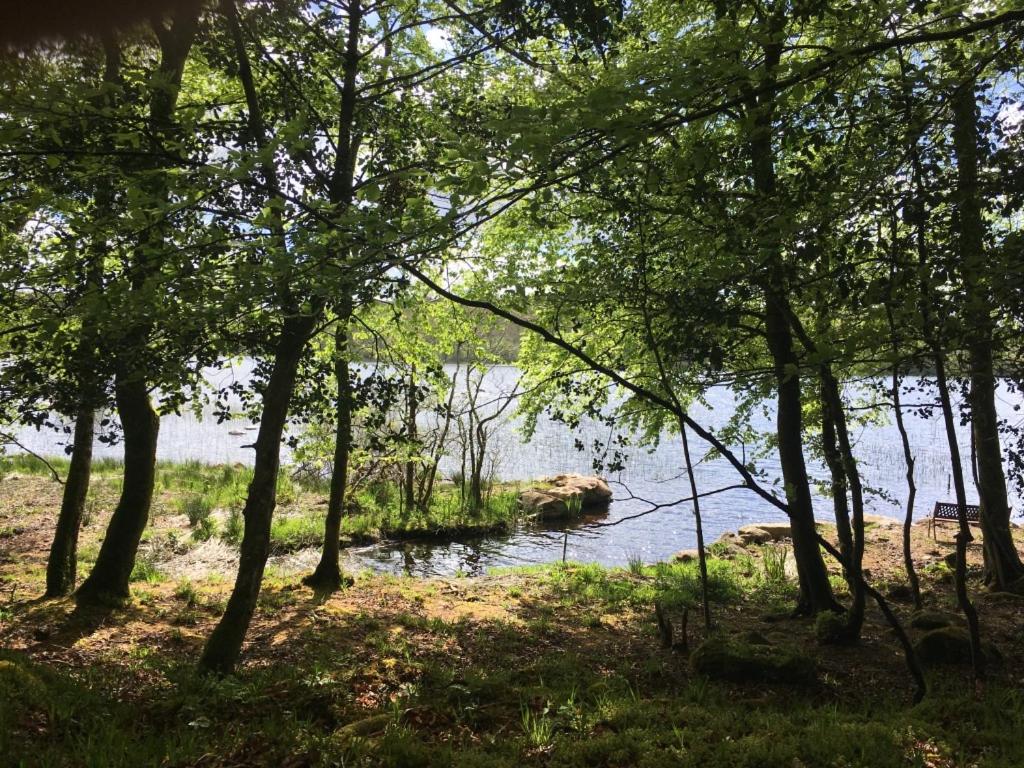 Loodusmaastik puhkemaja lähedal