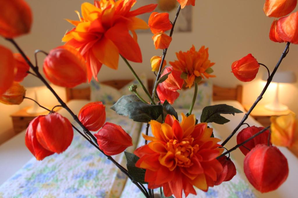 Pension Stoi budget guesthouse - Resim 12