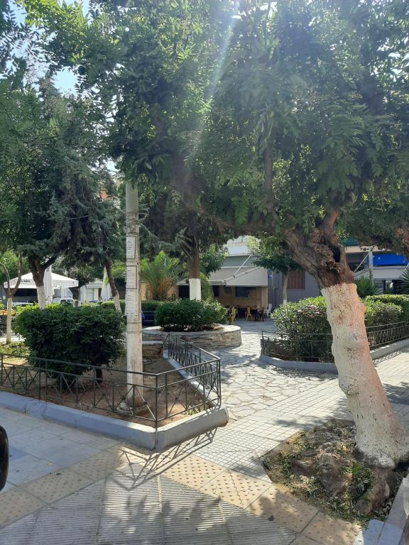 a park with a tree and a bench under it at Retro comfy home near Monastiraki in Athens