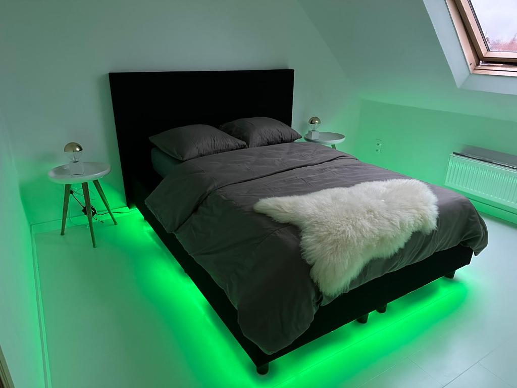 a green bedroom with a bed with a green light at Antwerp West Side Attic in Zwijndrecht