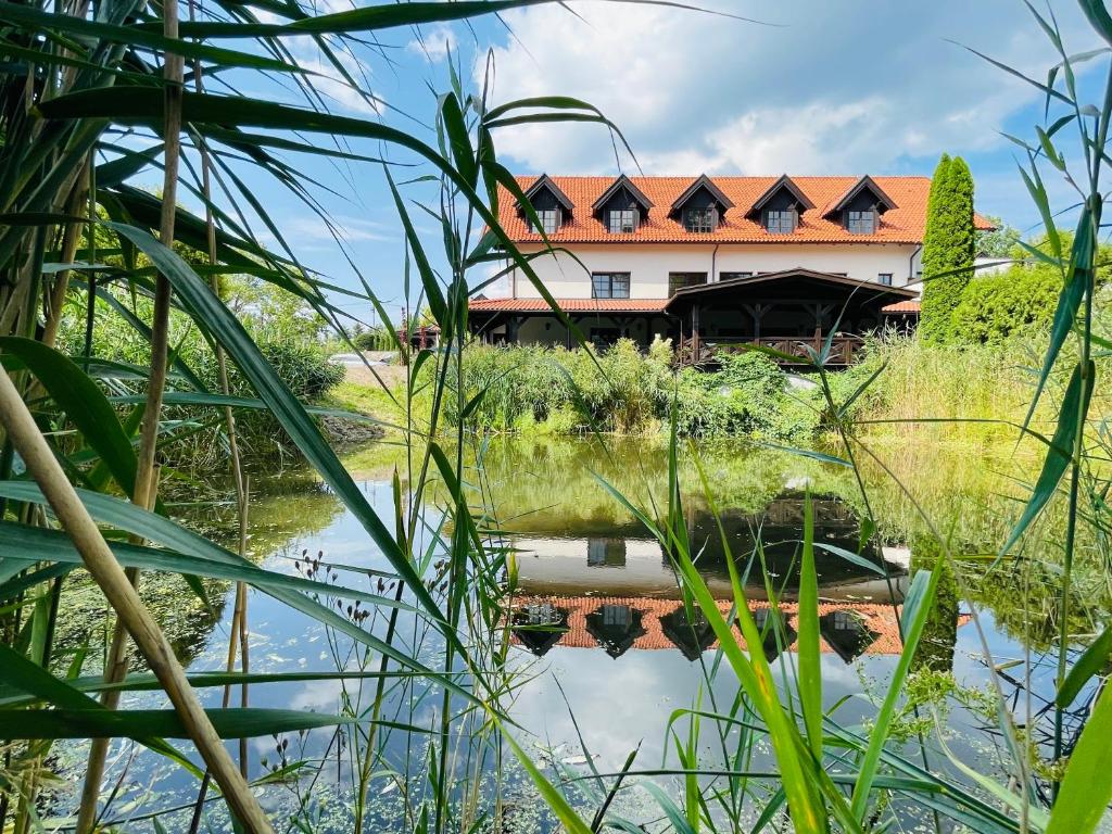 a house seen through the reeds of a pond at Kosa Śpiew in Kosewo