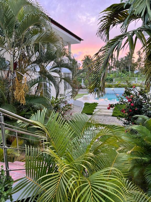 a view of a resort with palm trees and a swimming pool at Cosy apartments las terrenas in Las Terrenas