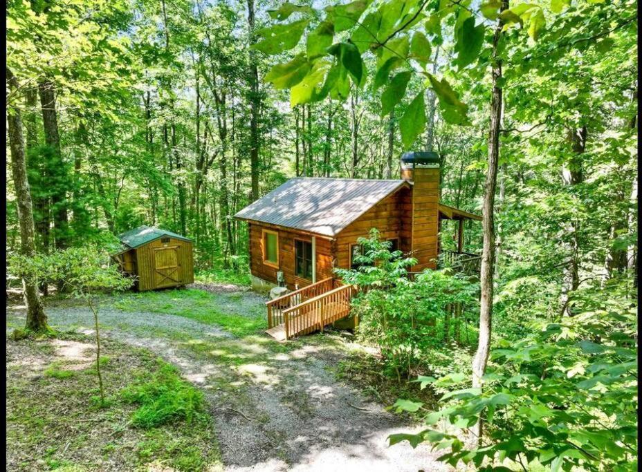 a log cabin in the woods with a path at Open Studio Lodge at Little Rock Creek in Cherry Log