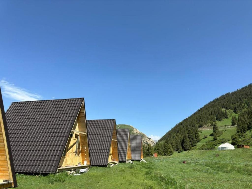 une rangée de cabines en bois sur une colline herbeuse dans l'établissement Босого Ресорт, 