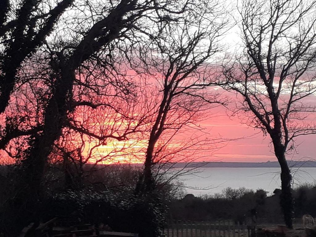 un coucher de soleil sur une étendue d'eau plantée d'arbres dans l'établissement Mobilhome Vue mer et nature, à Plougastel-Daoulas