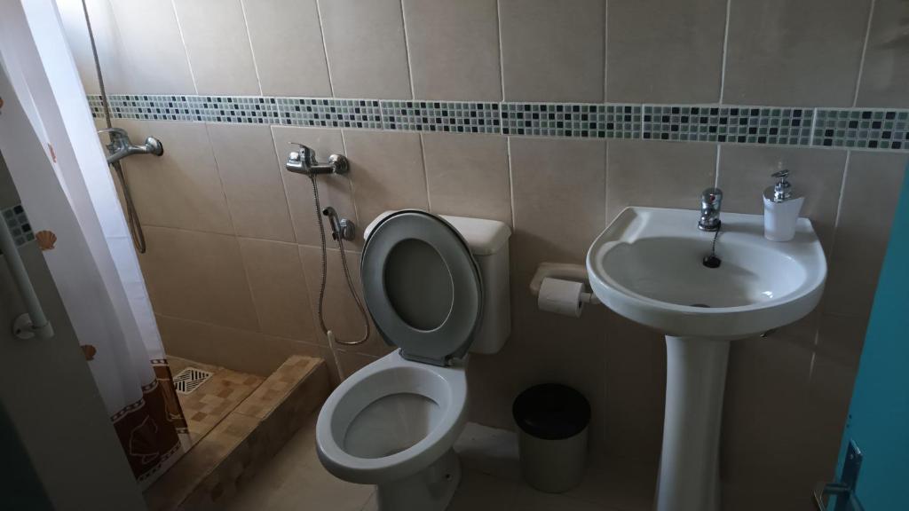 a bathroom with a toilet and a sink at África in General Enrique Martínez