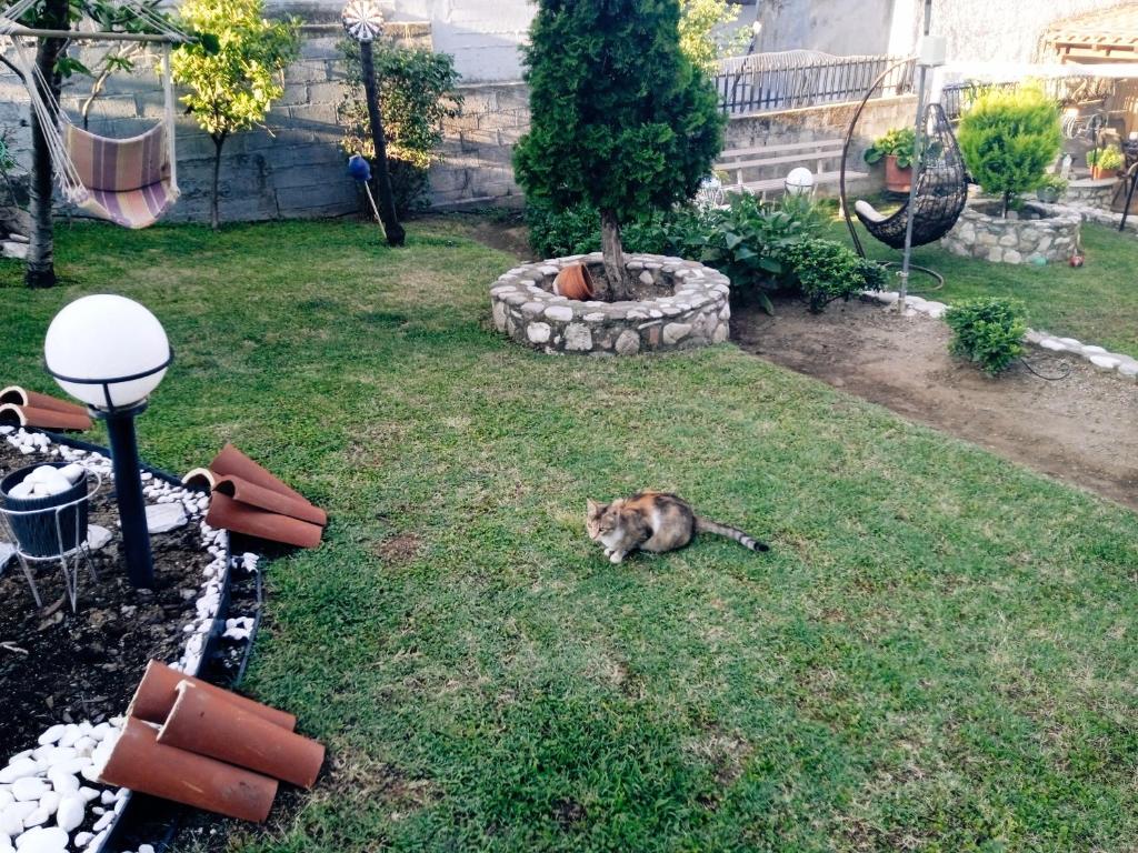 kikas apartment 1 - 14