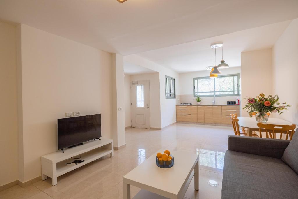 a living room with a couch and a tv at Desert Pearl in Beer Sheva