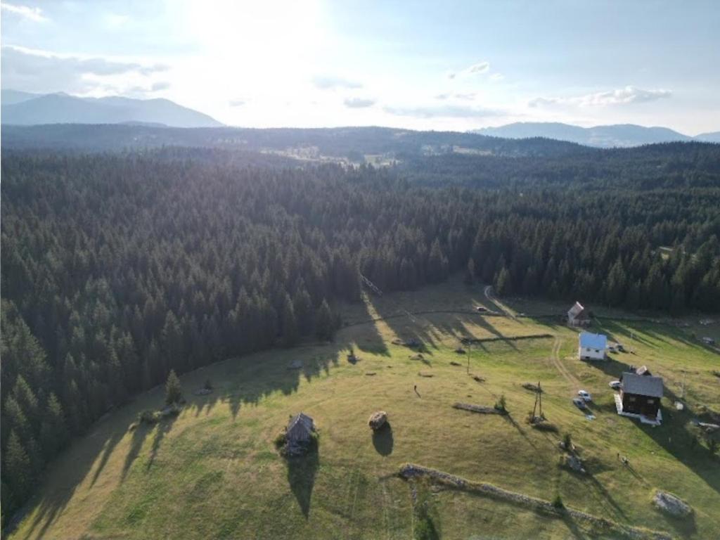 Příroda nedaleko venkovského domu