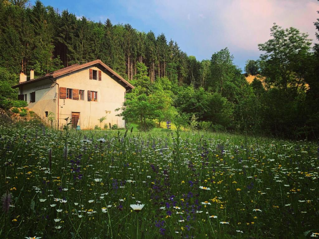 a field of flowers in front of a house at Alla Casetta B&B in Cesiomaggiore