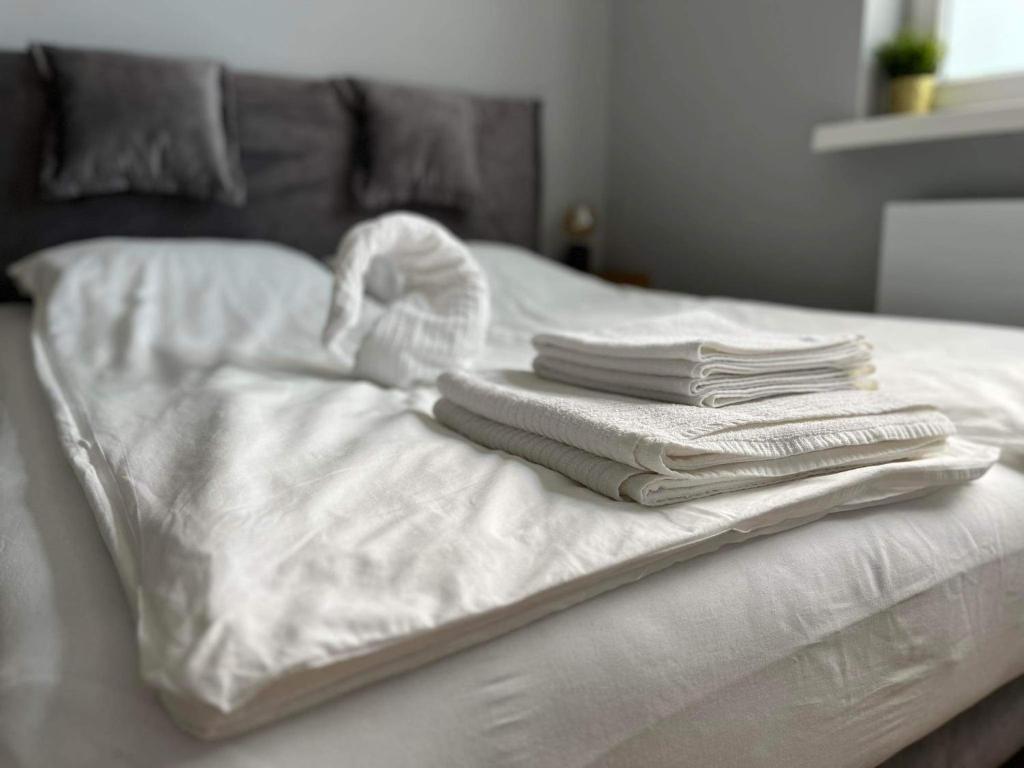 Apartamenty Zielona - 1