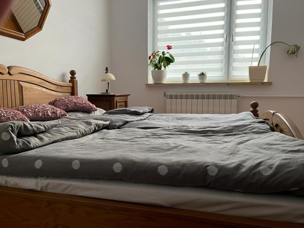 2 camas individuales en un dormitorio con ventana en Dom w górach, en Koszarawa