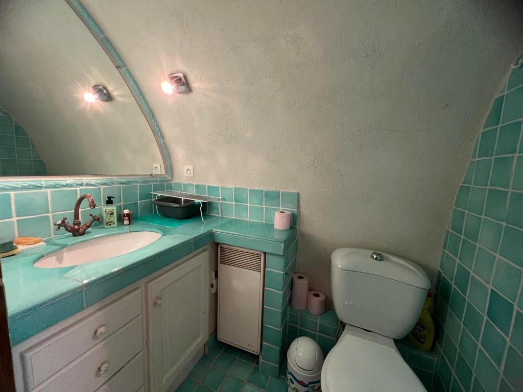 博迪昂的住宿－Studio en voûte，一间带水槽、卫生间和镜子的浴室