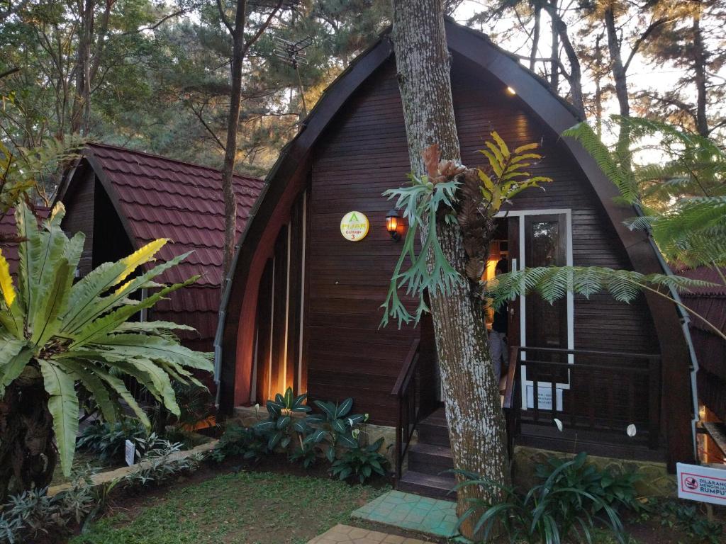 Zahrada ubytování Pijar Resort Powered by Cocotel