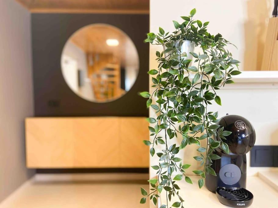 a potted plant sitting on a counter next to a mirror at Lujoso Ático Dúplex En Valle De Incles - Parking Gratis in Canillo