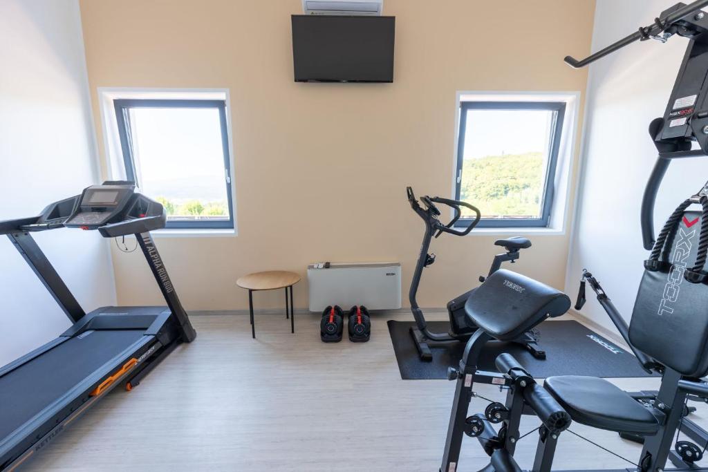 Fitness centrum a/nebo fitness zařízení v ubytování Hotel Dolenjc