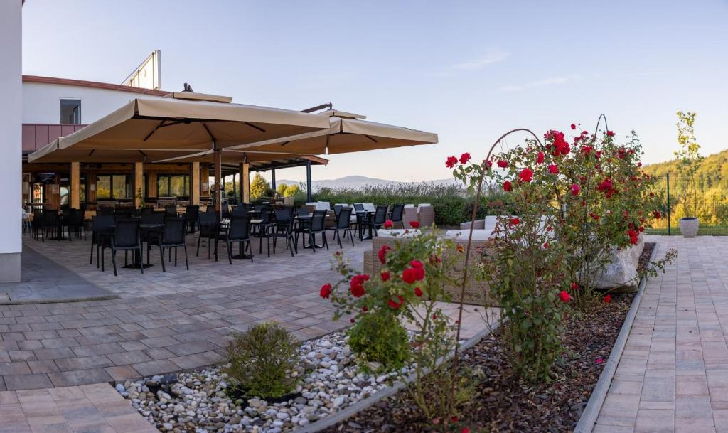Zahrada ubytování Hotel Dolenjc