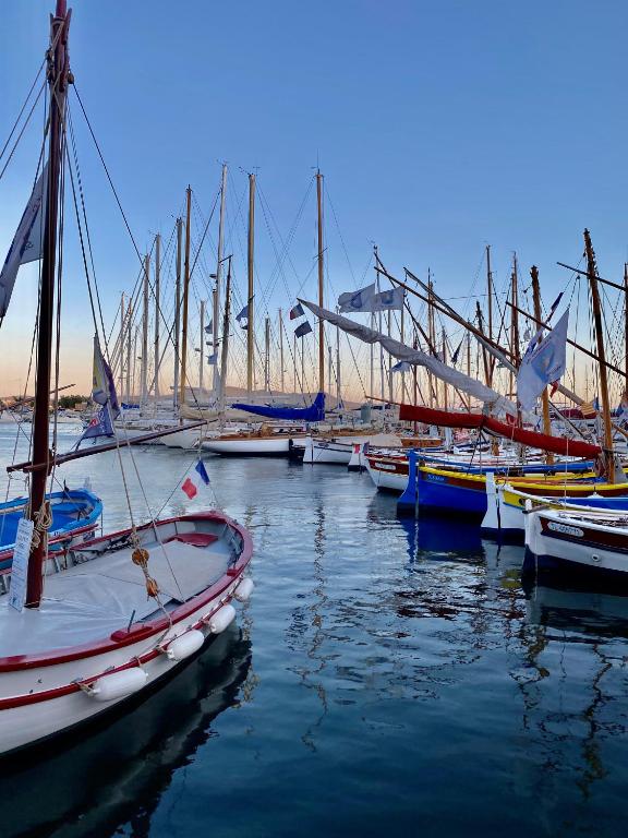 un groupe de bateaux est amarré dans un port dans l'établissement Casa Paloma, à Sanary-sur-Mer
