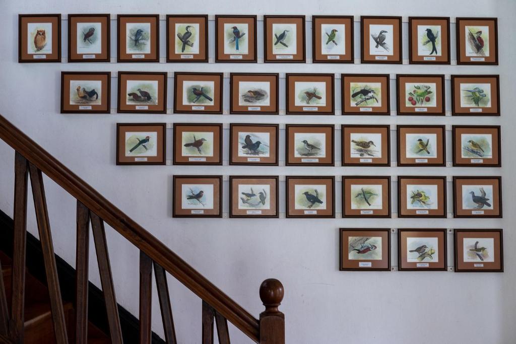 Fotografie z fotogalerie ubytování Horathapola Estate v destinaci Marawila