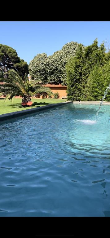 a large body of water with trees in the background at Quinta da Bicuda in Cascais