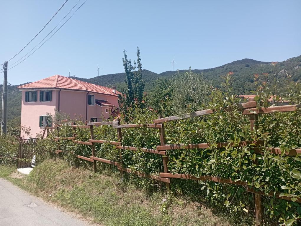 una cerca frente a un campo de tomateras en LA TANA DELLA VOLPETTA - Bed & Breakfast, en Stella