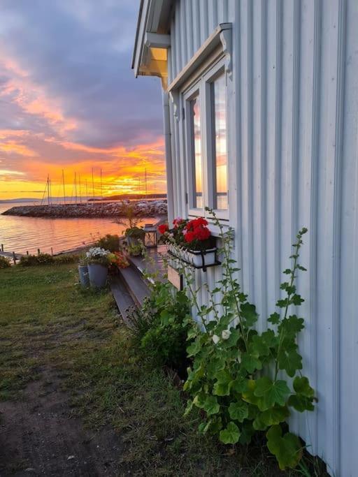 Fotografie z fotogalerie ubytování Charming beach house v destinaci Moss