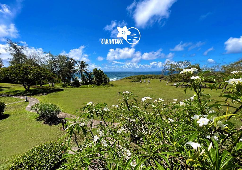 a park with flowers and the ocean in the background at STUDIO CARAMBOLE VUE MER - Piscines - Plages - Village vacances Sainte Anne Guadeloupe in Sainte-Anne