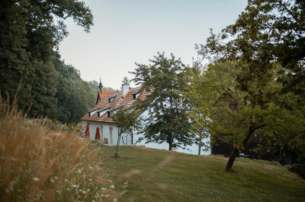 a house on a hill with trees in front of it at Mlýn Salajna in Dolní Žandov