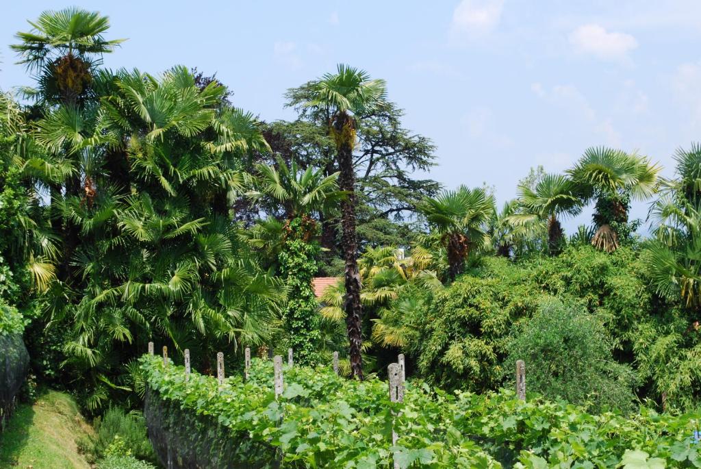 Hotel&Hostel Montarina - Resim 40