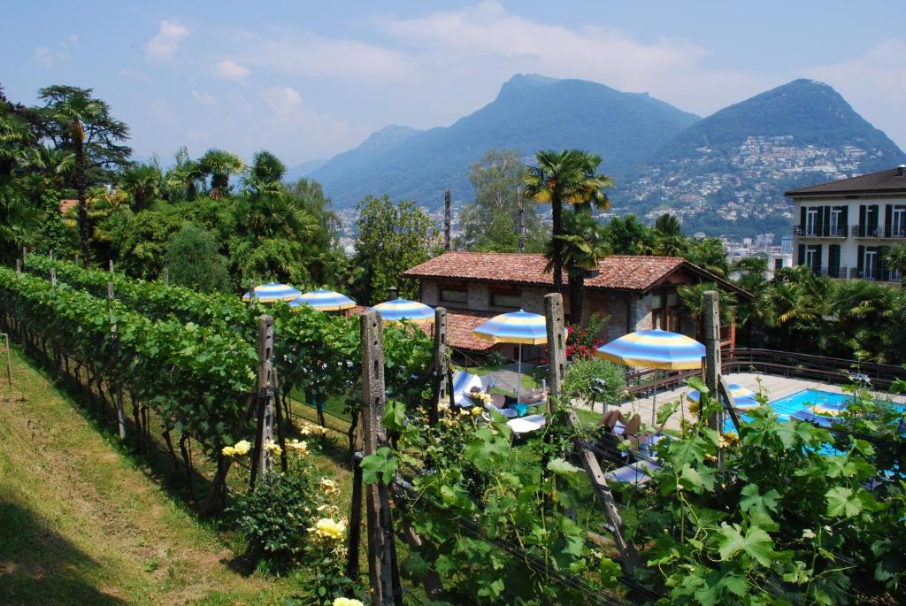 Hotel&Hostel Montarina - Resim 41