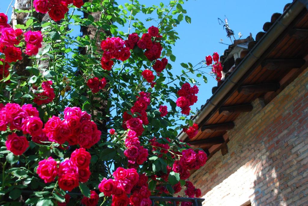 Hotel&Hostel Montarina - Resim 42