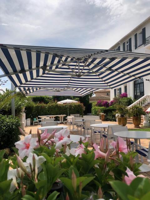 Zahrada ubytování Hotel des Mimosas
