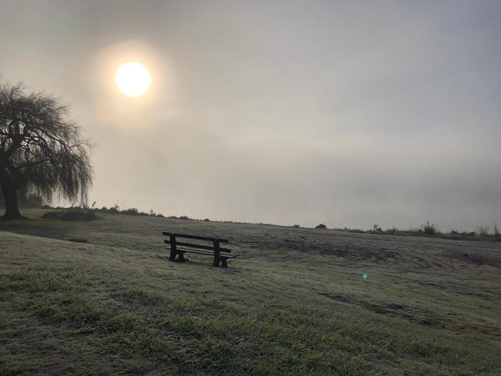 Jack & Di's Lakefront Motel - Resim 17