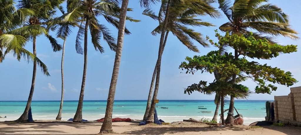 un grupo de palmeras en una playa con el océano en Yasmin house, en Kizimkazi