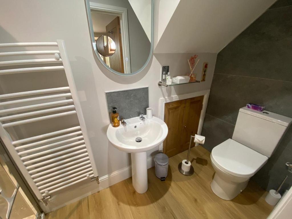 W łazience znajduje się umywalka, toaleta i lustro. w obiekcie Rosegarth Bed and Breakfast w mieście Marton