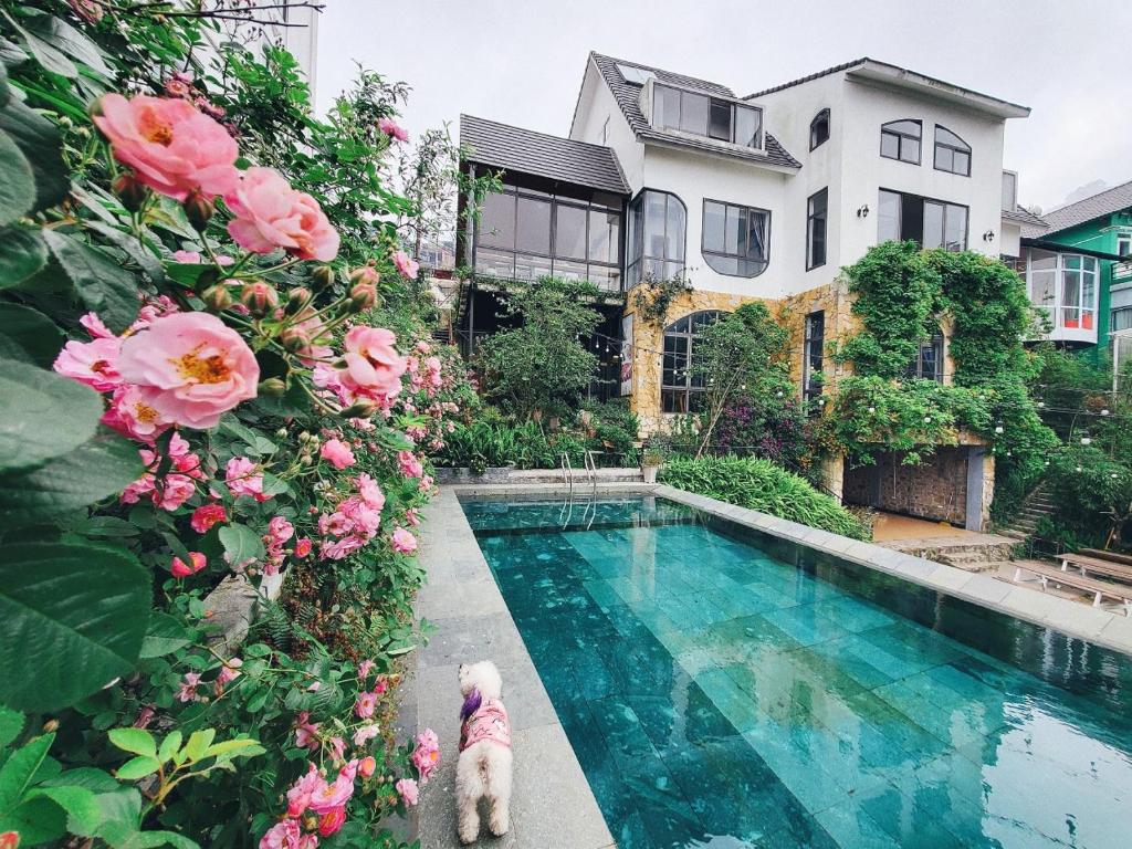 a dog sitting next to a swimming pool with flowers at Le vent Tam Đảo homestay in Tam Ðảo