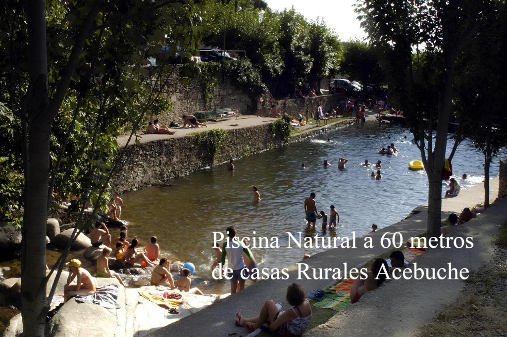 a group of people swimming in a river at Casa Rural Acebuche - Valle del Ambroz in Casas del Monte