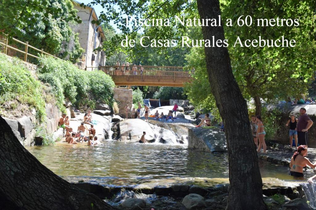 Disfruta del verano en Casas Rurales Acebuche con PISCINA NATURAL في Casas del Monte: مجموعة من الناس يسبحون في نهر مع جسر
