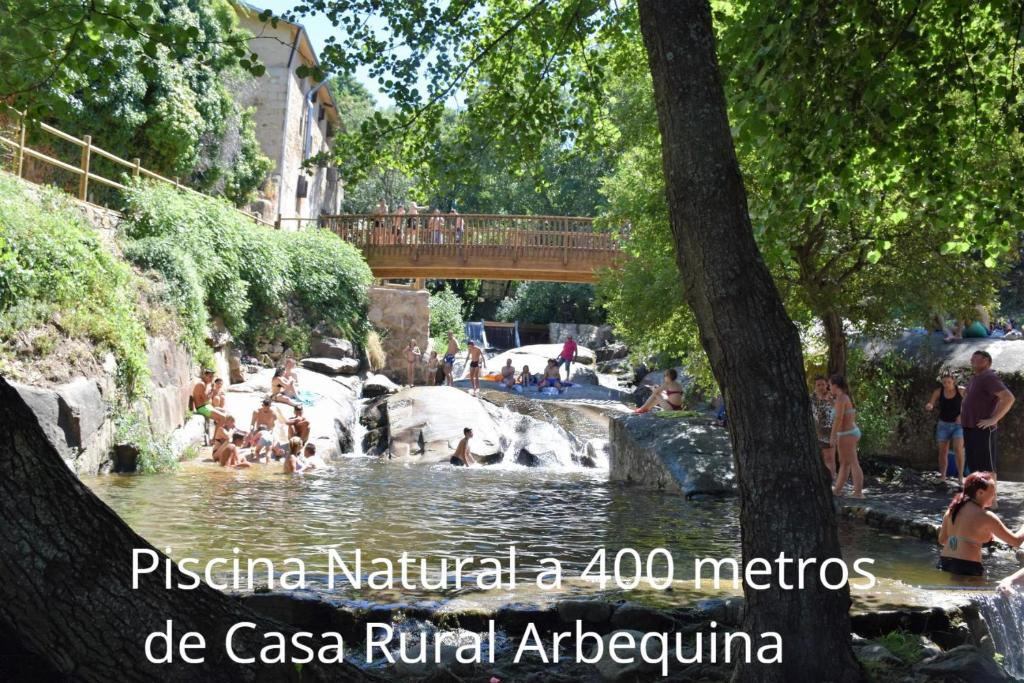 a group of people swimming in a river with a bridge at Casa Rural Arbequina - Naturaleza y Calma en el Valle del Ambroz in Casas del Monte