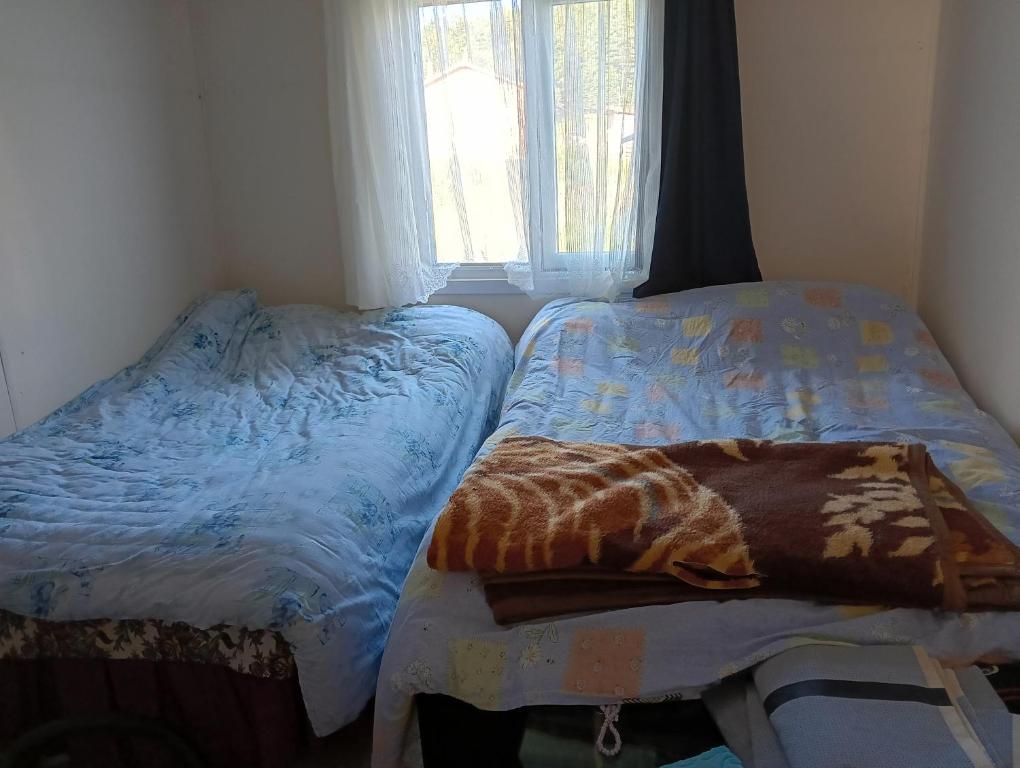 Кровать или кровати в номере Bolu dağı evi