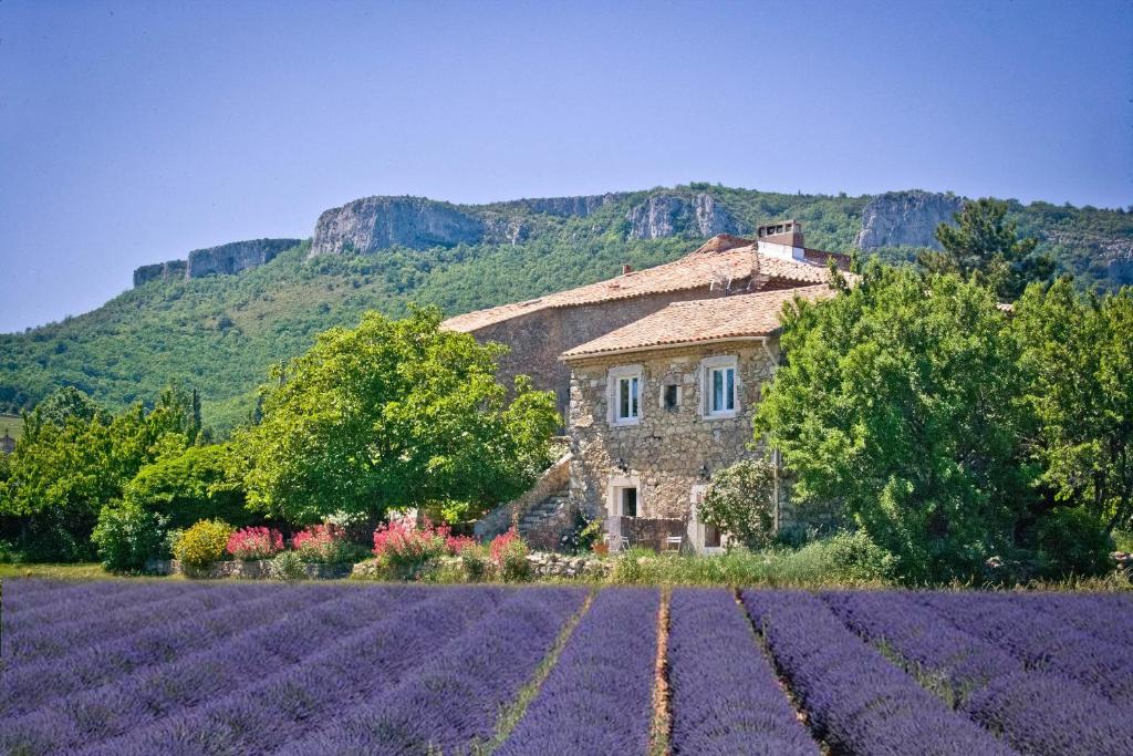 Gras的住宿－Chez Bacchus，紫色花丛中间的房子