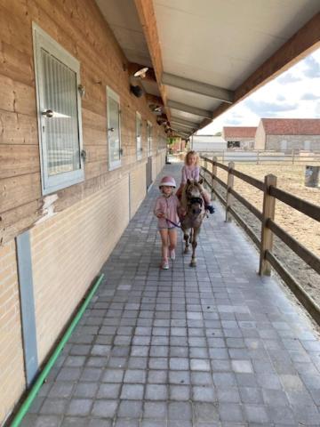 duas crianças estão a montar um cavalo num edifício em B&B Quarterhouse em Moerkerke