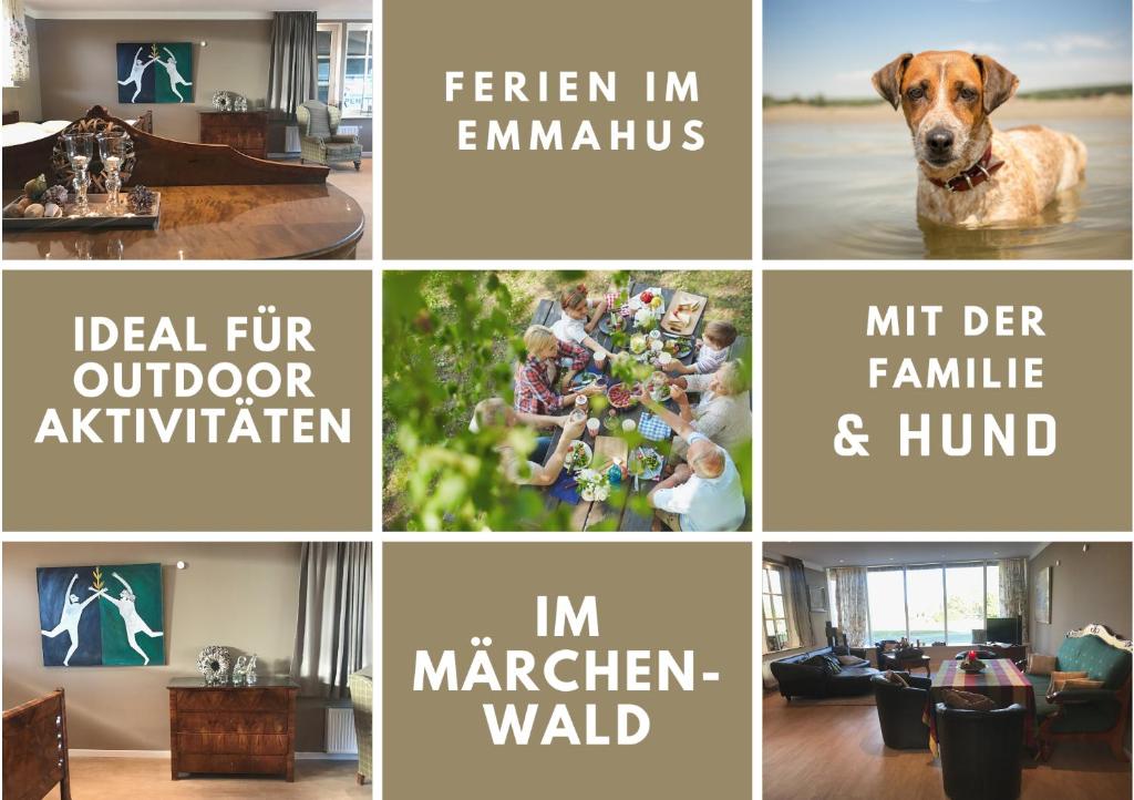 Emmahus في Fürstenau: ملصق صور بيوت مع كلب