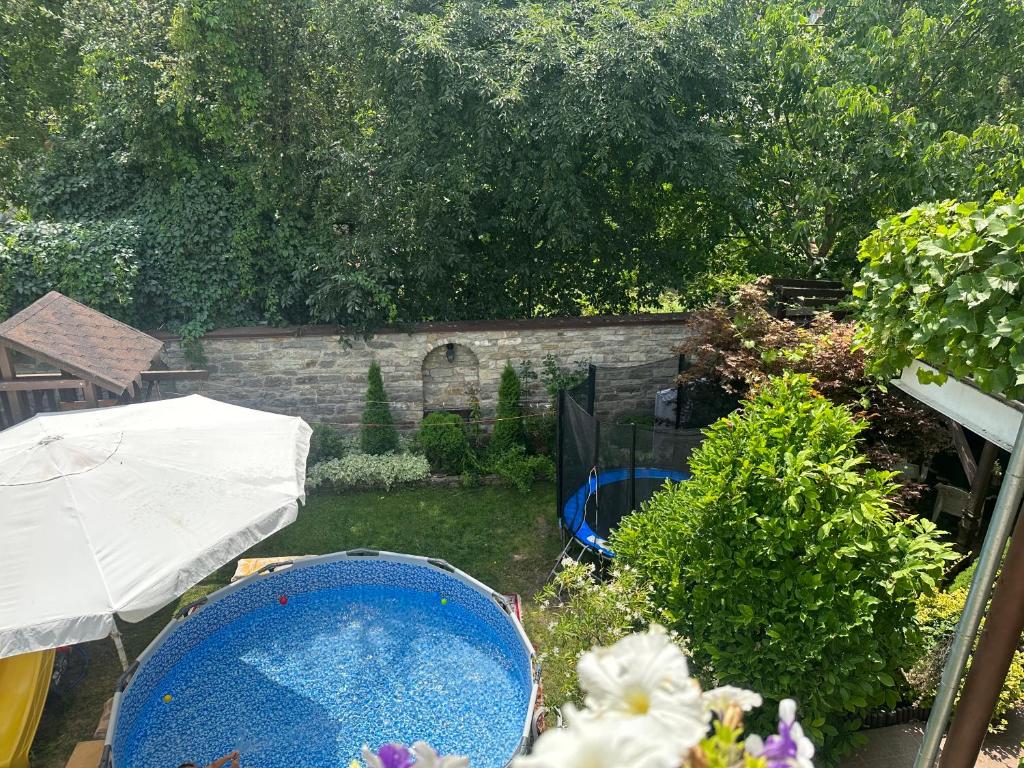 a view of a garden with a swimming pool at Celebrity in Kamianets-Podilskyi