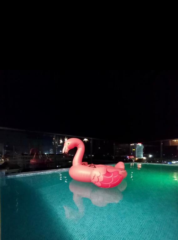 a pink swan float in a pool at night at Bel-Air Hotel in Quy Nhon