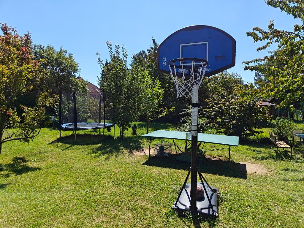 Zahrada ubytování Villa Lira